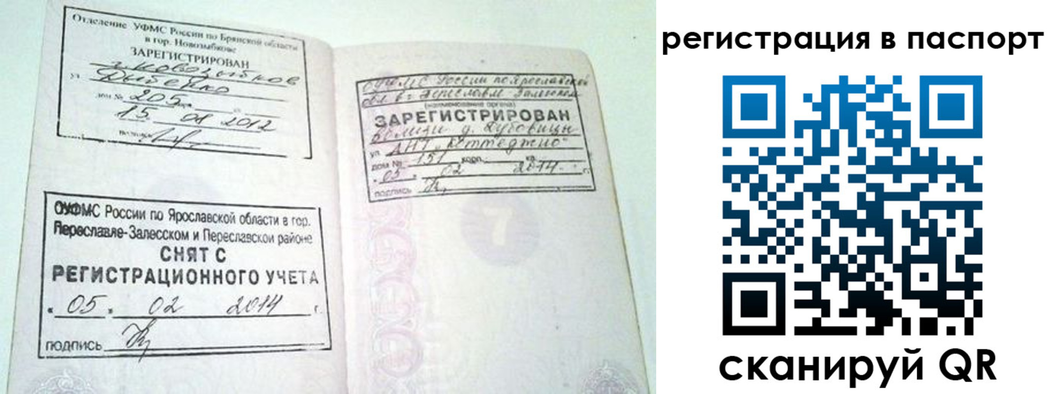 прописка в квартире в Бердске